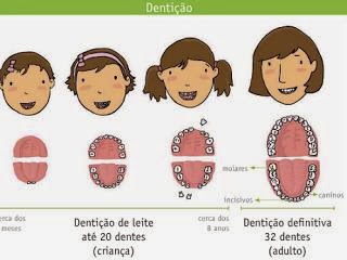 os-sabich-es-da-escola-de-s-miguel-a-nossa-denti-o