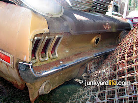 Stored in a makeshift junkyard with 30-or-so Mustangs.