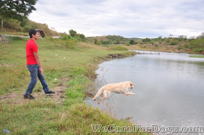 Mhershey's 1st time to swim (and do a "dock-diving" stunt) - Philippine Dog Festival 2014 - December 12, 2014 Mhershey's 1st time to swim (and do a "dock-diving" stunt) - Philippine Dog Festival 2014 - December 12, 2014
