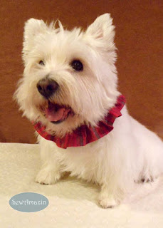  Christmas Dog Scrunchie Ruffle, Holiday Homespun