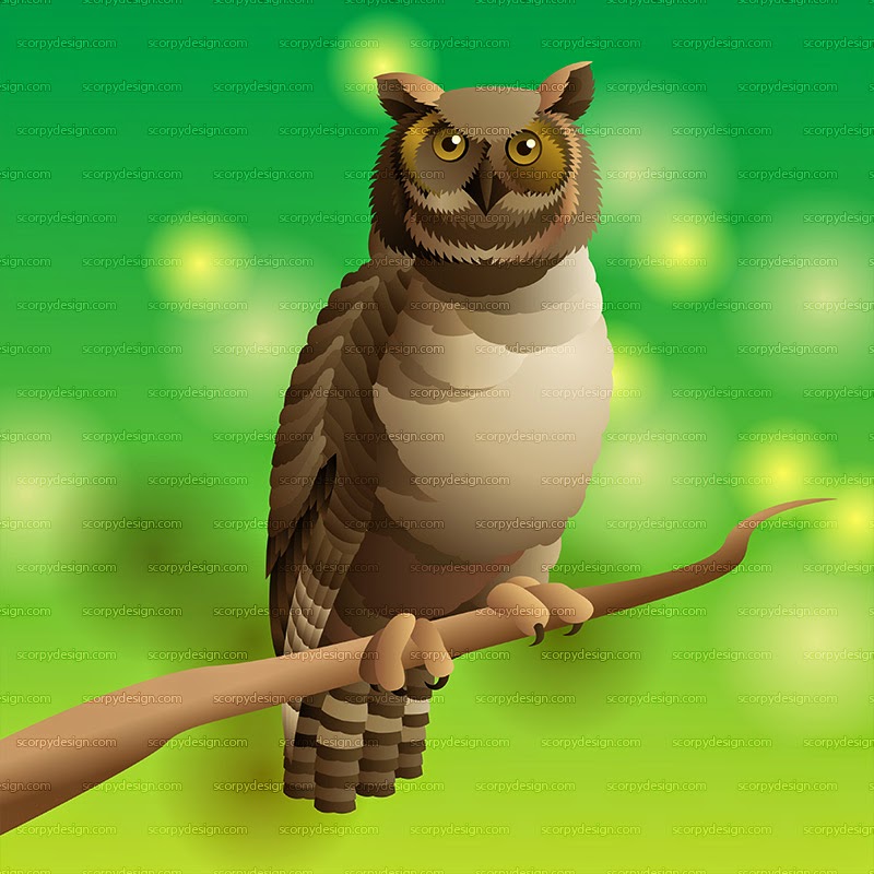owl vector illustration