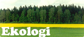  EKOLOGI MANUSIA  World of Biologi
