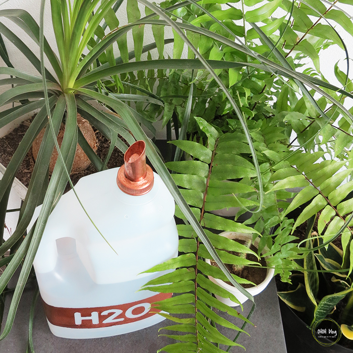 How to make a recycled watering can Ohoh Blog