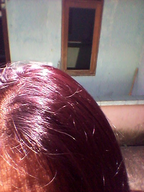 Review Nyu Cream Hair Colour Burgundy