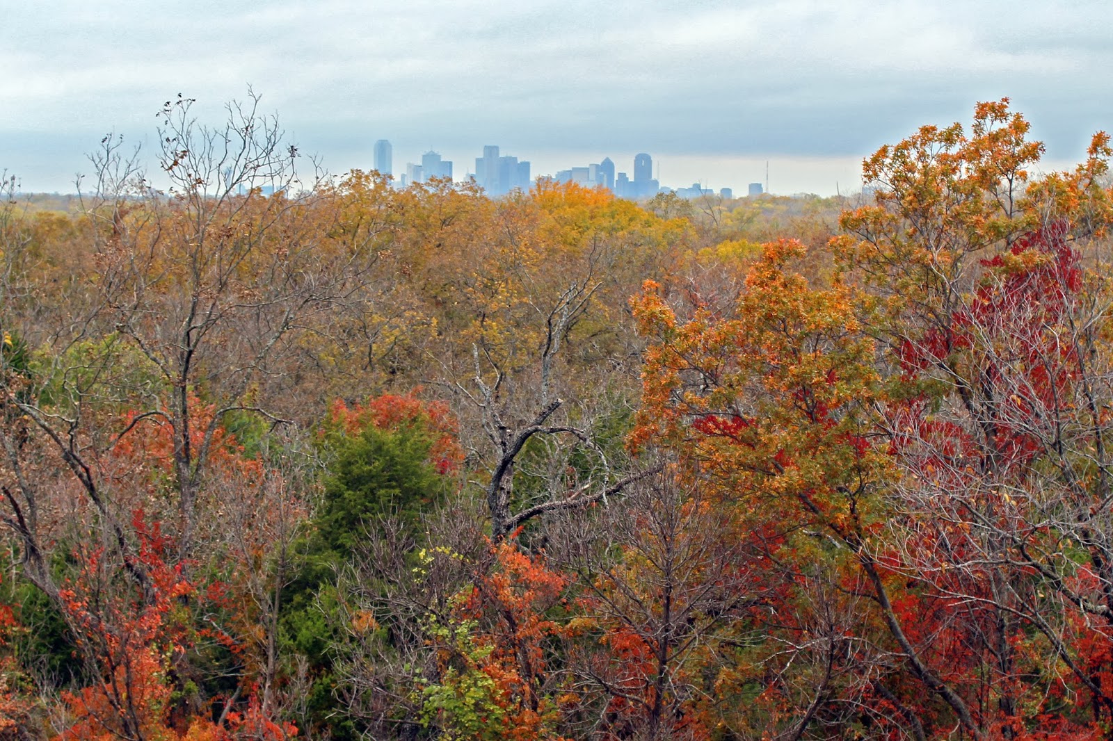 Dallas Trinity Trails: Texas Fall Color On Dallas Lower White Rock ...