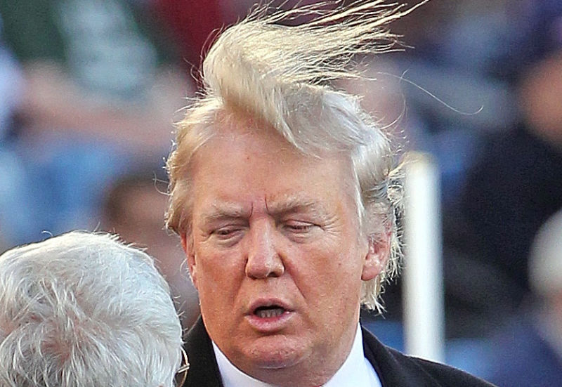 Trump's Hair Is a Big Deal. Here's the Science Behind It - wide 1