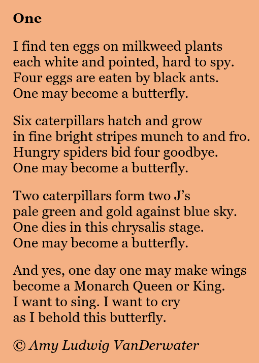 The Poem Farm Monarchs and Math A Kyrielle