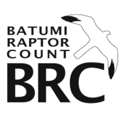 Batumi Raptor Count