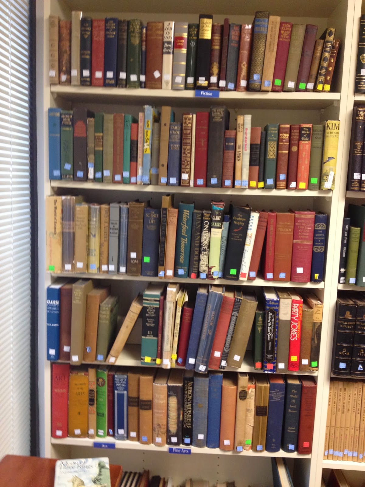 First Edition Fantasy Adventures at The Goodwill Book Store