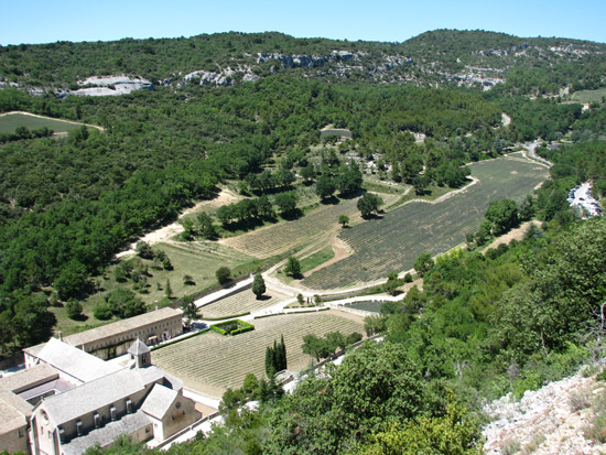 Abbaye de Senanque and the Lavender Fields