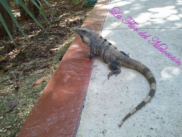 Vacaciones en la Riviera Maya