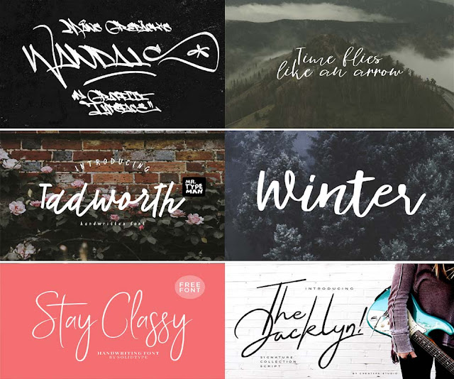 Photography Signature Fonts