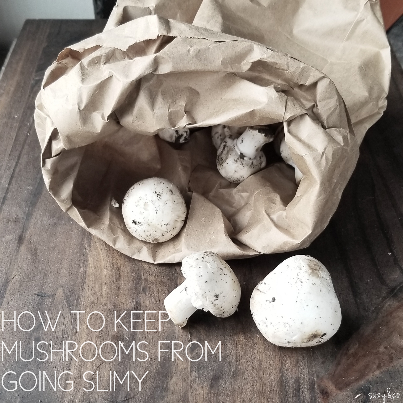 how to keep mushrooms from going slimy suzyhomemaker