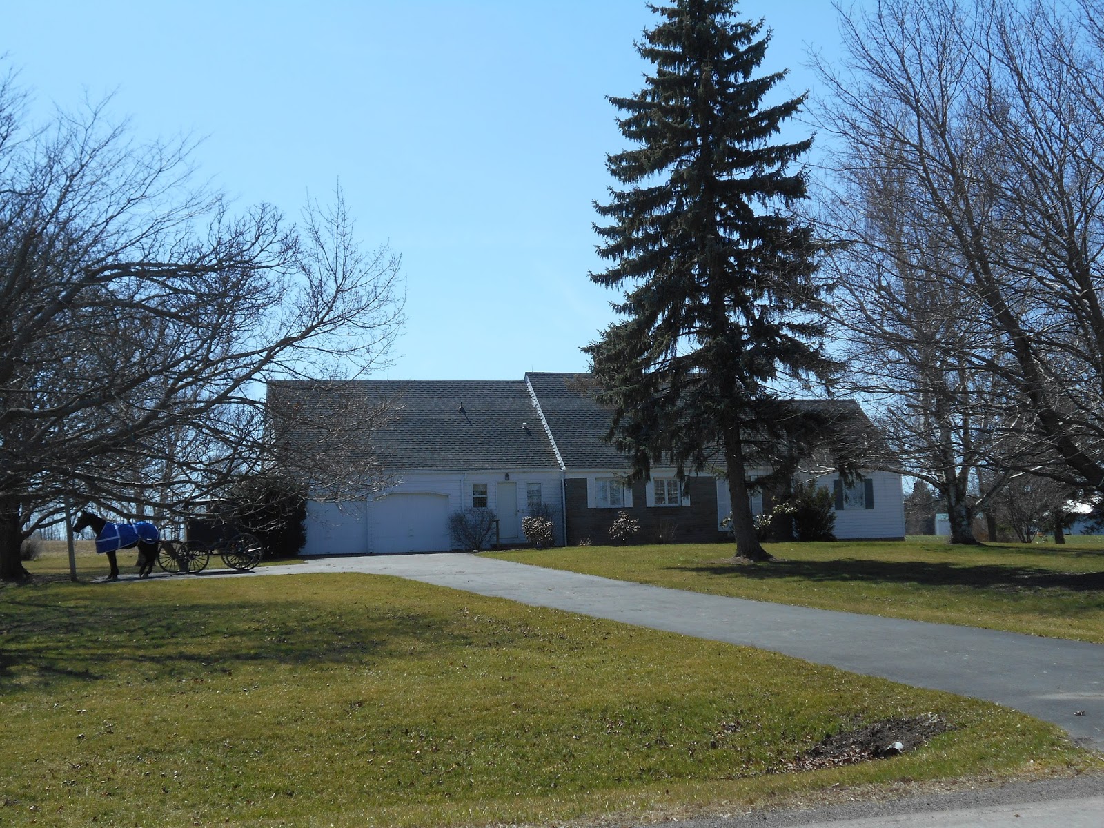 New York State of Mind AMISH FARM
