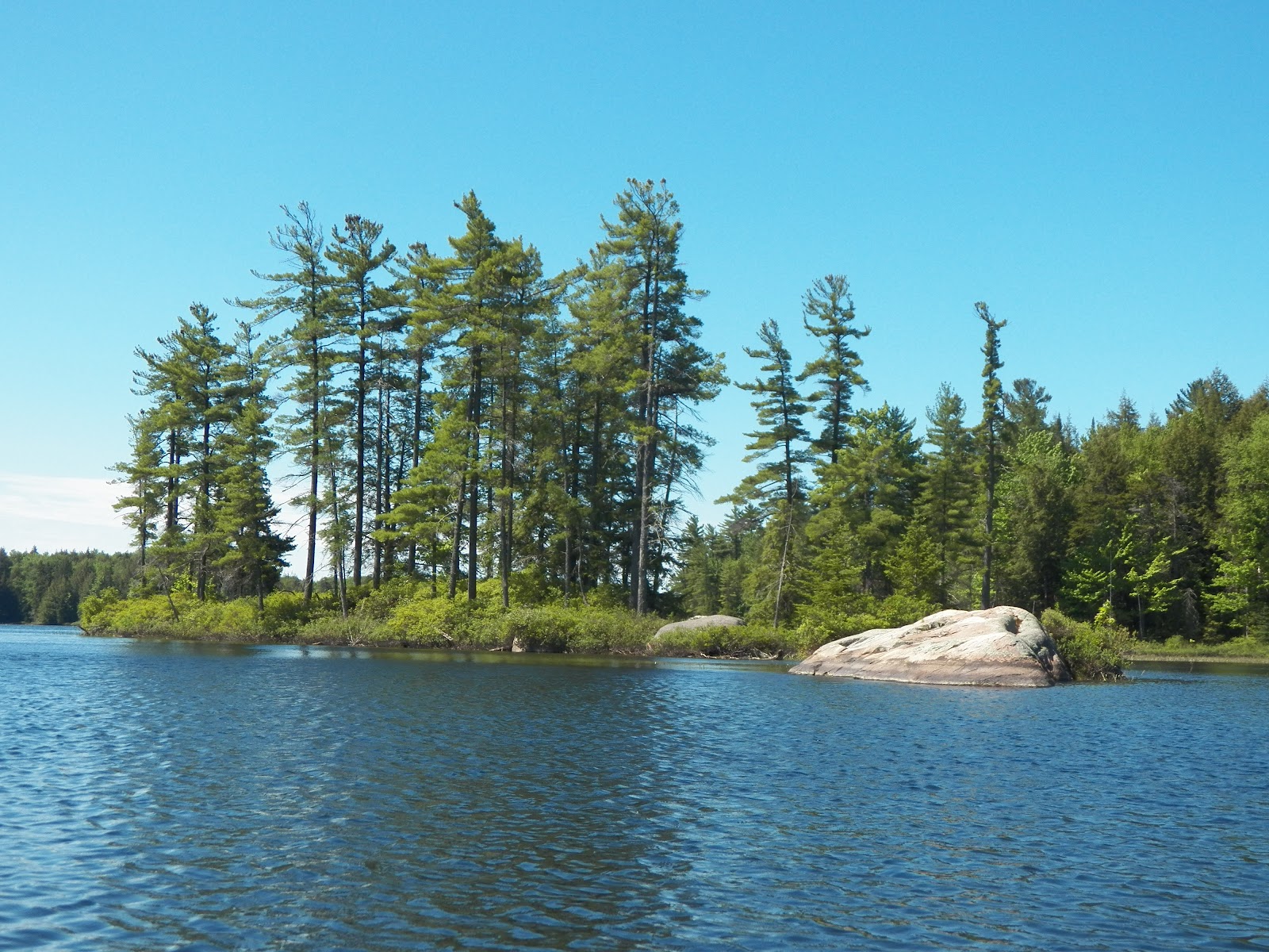 Quiet Kayaking in New York State Francis Lake, part one
