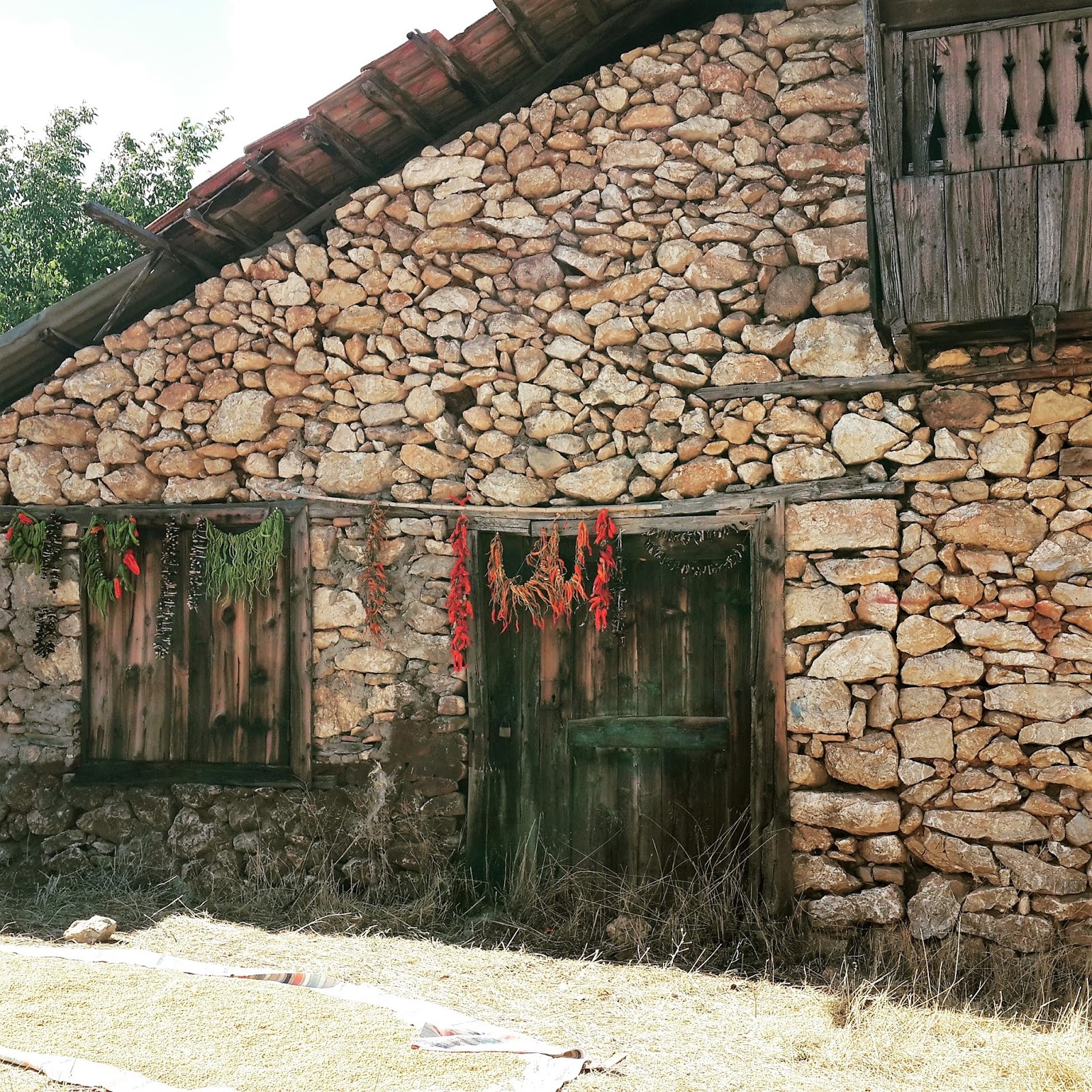 NilüferCE GEZ BİR BAŞKADIR BENİM MEMLEKETİMFETHİYE