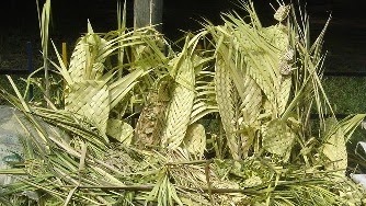 Domingo de ramos: atentado a la naturaleza en Boyacá