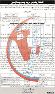 Education Department Sargodha Announced Jobs scale 1 Education Department Sargodha Announced Jobs scale 1