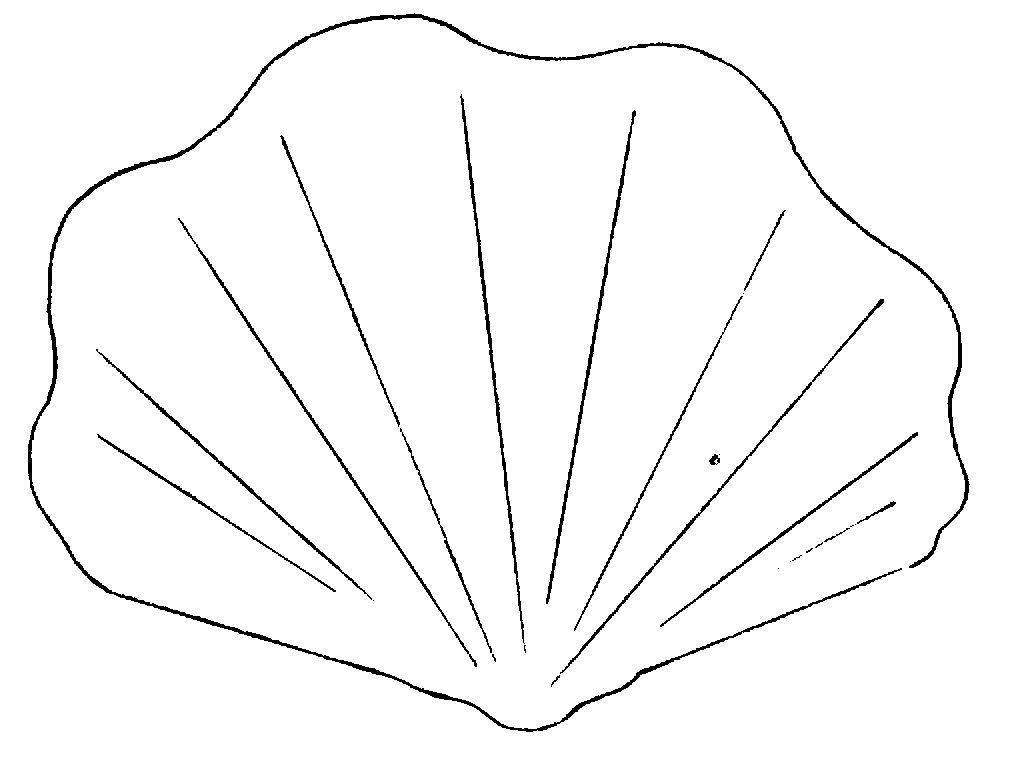 Dibujos para colorear de CONCHAS