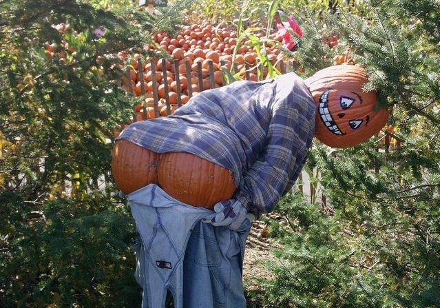 Scarecrow Porn - Redshirt's Lament: Pumpkin Porn
