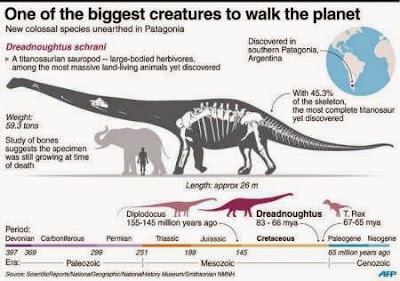 Dreadnoughtus skeleton dimensions