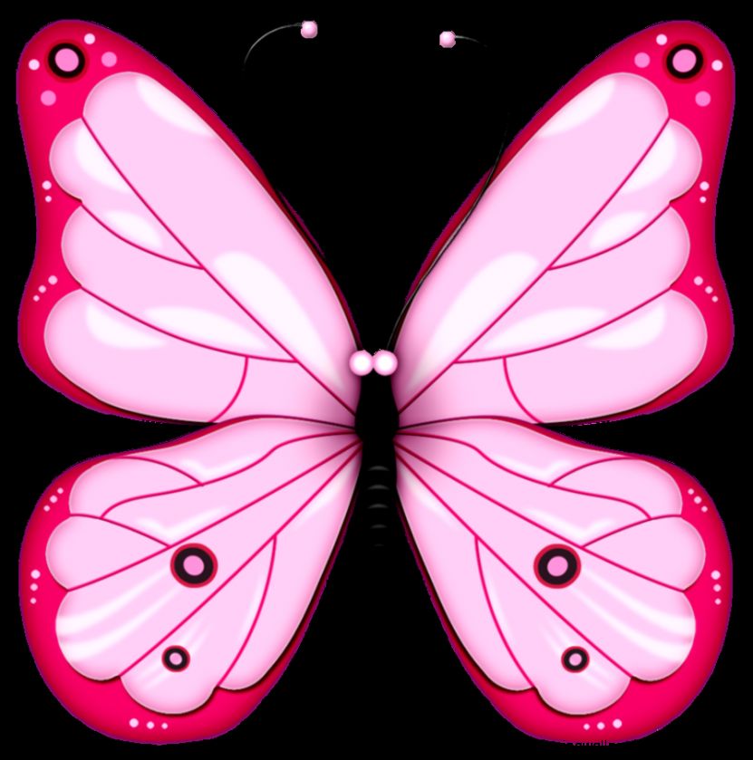 Pictures Of Pink Butterflies