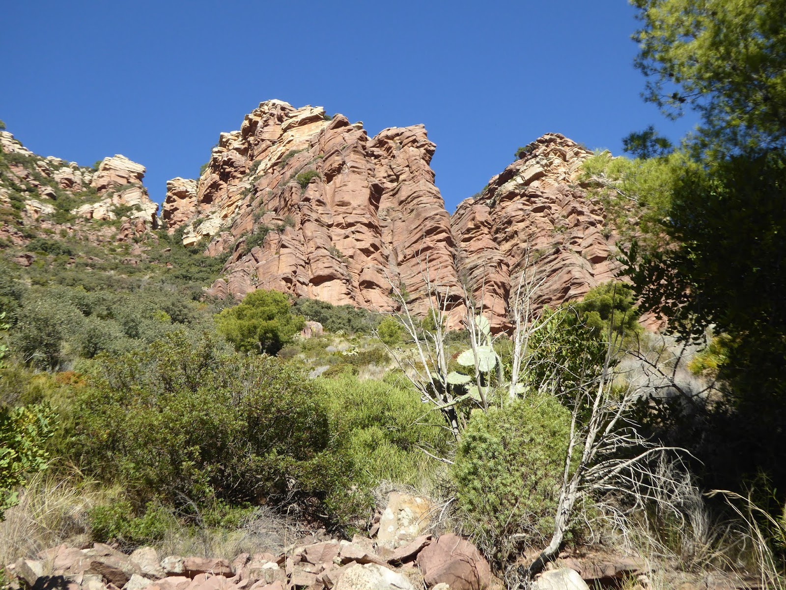 Blog of the Morning Calm Hiking in Parc Natural de la Serra Calderona