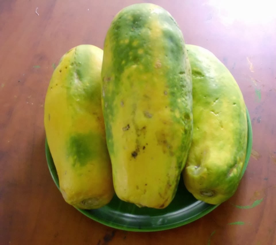 Jayanthi's Indian Recipes Papaya Jam