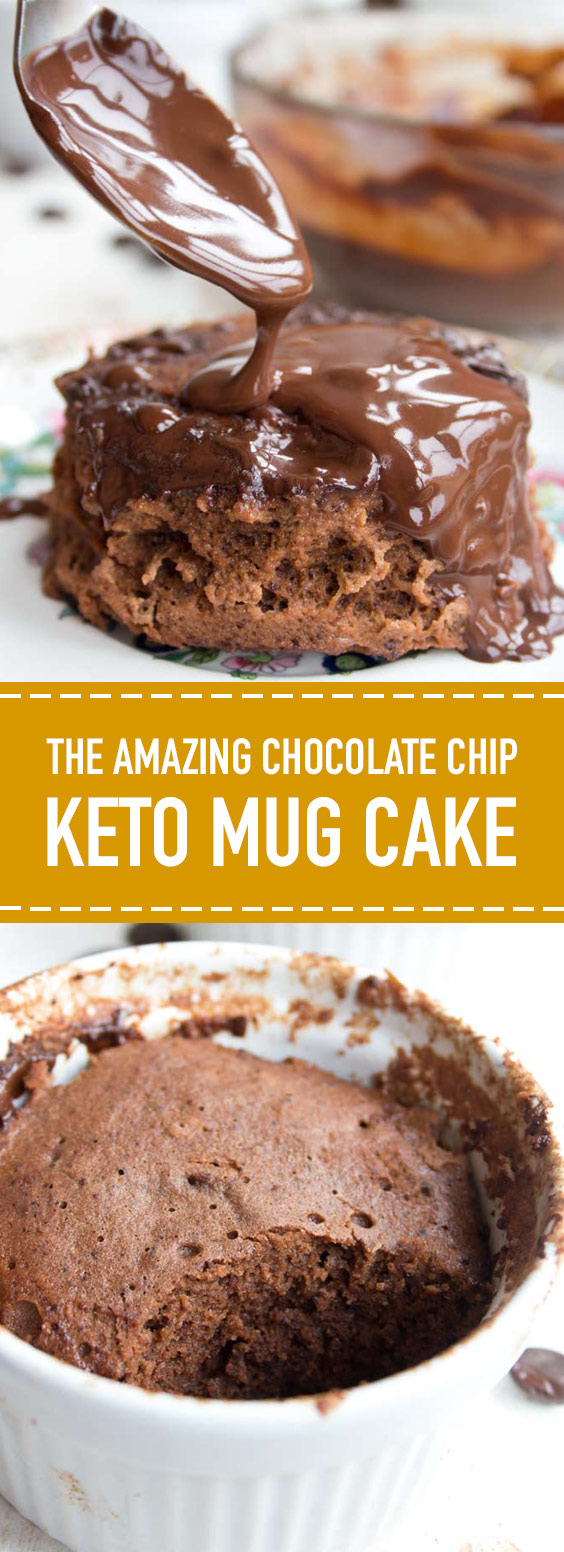 The Amazing Chocolate Chip Keto Mug Cake - 1000+ Best Recipes Ever