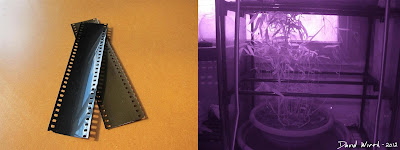 Infrared camera film Infrared camera film