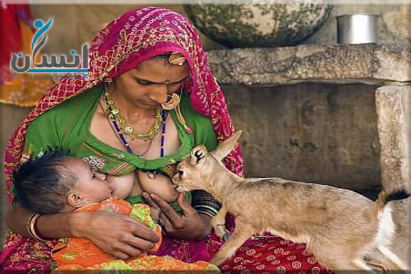 الرضاعة الطبيعية | أمرأة ترضع غزال من صدرها بجانب طفلها .. إنسان