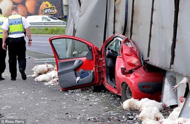 Waiting Bd The Most Incredible Escape Ever Car Crash The Most Incredible Escape Ever Car Crash