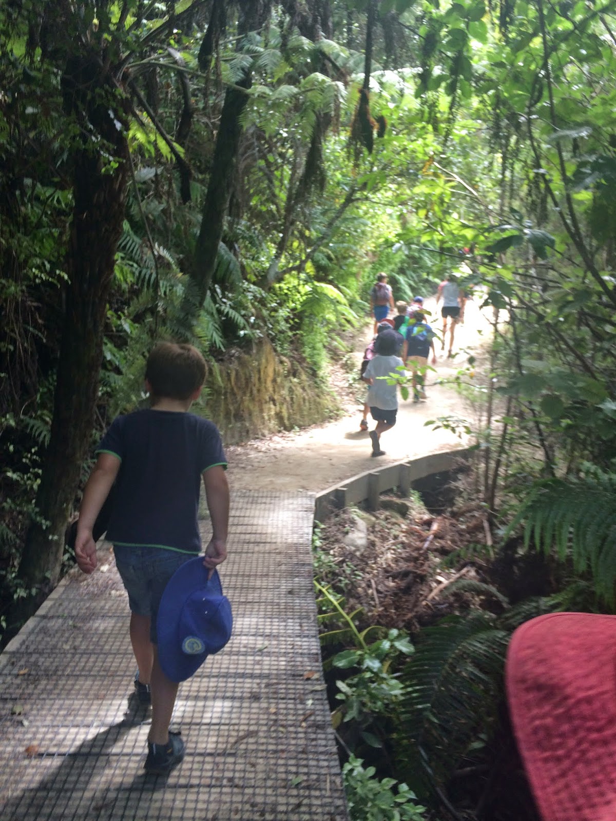 Trip to Tinline Bay, Abel Tasman. Summer Holidays