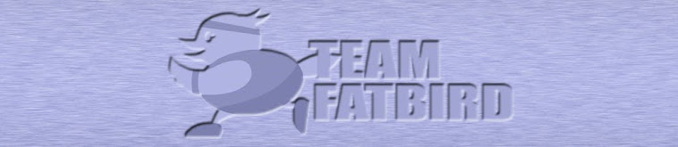 Team FatBird | Marathon Pacing, Training and Group Running