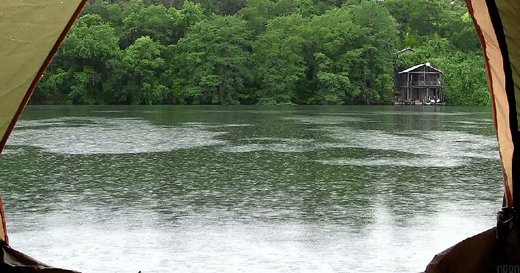 ENGL 2 YOU BELONG TO THE CITY Week 16 Austin, Texas Bat City