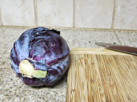 Dyestuff: 1 red cabbage, Brassica oleracea