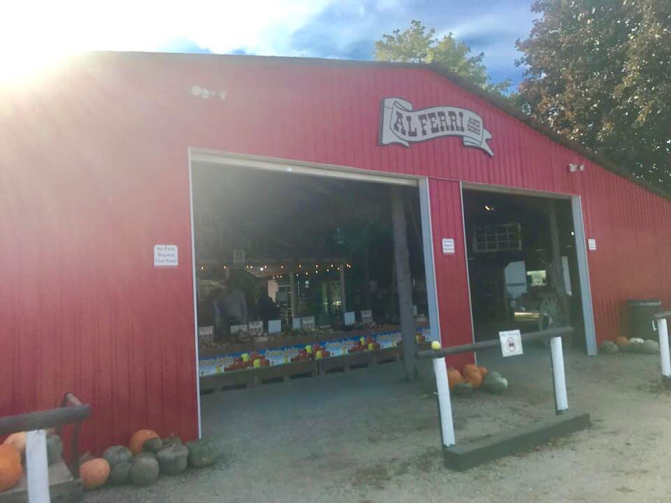 Febeth (Diary of a Domesticated Blogger Al Ferri Apple Farm and