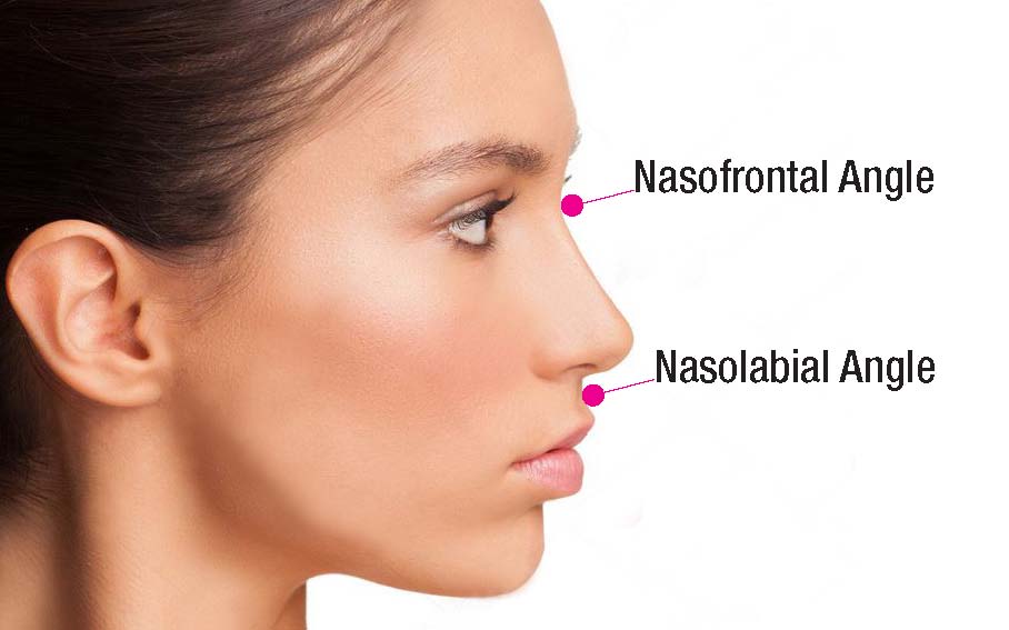 Plastic and Cosmetic Surgery The Science of Beauty What Makes A