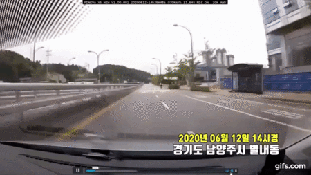 달리는 차량 앞으로 끼어 든 자라니