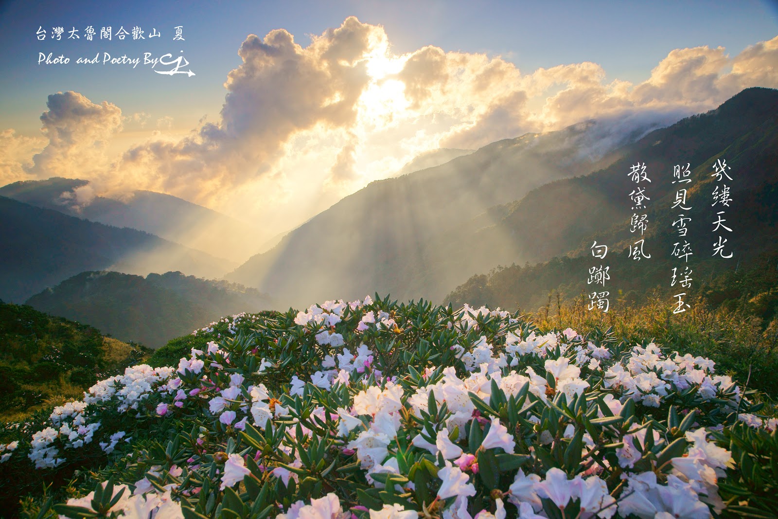 我之所攝 心之所見 滌癒人心 意味深遠 請跟隨我進入這攝影與詩歌交織成的視界 並帶回滿滿的感動 七月