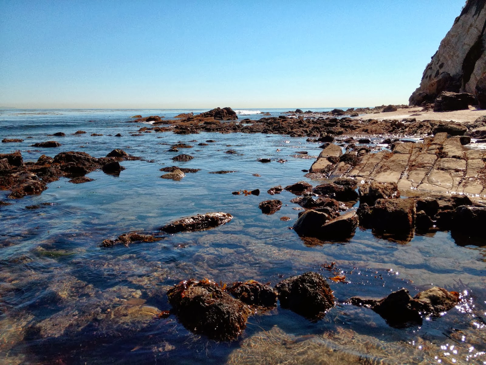 The Malibu Post: Between the Tides