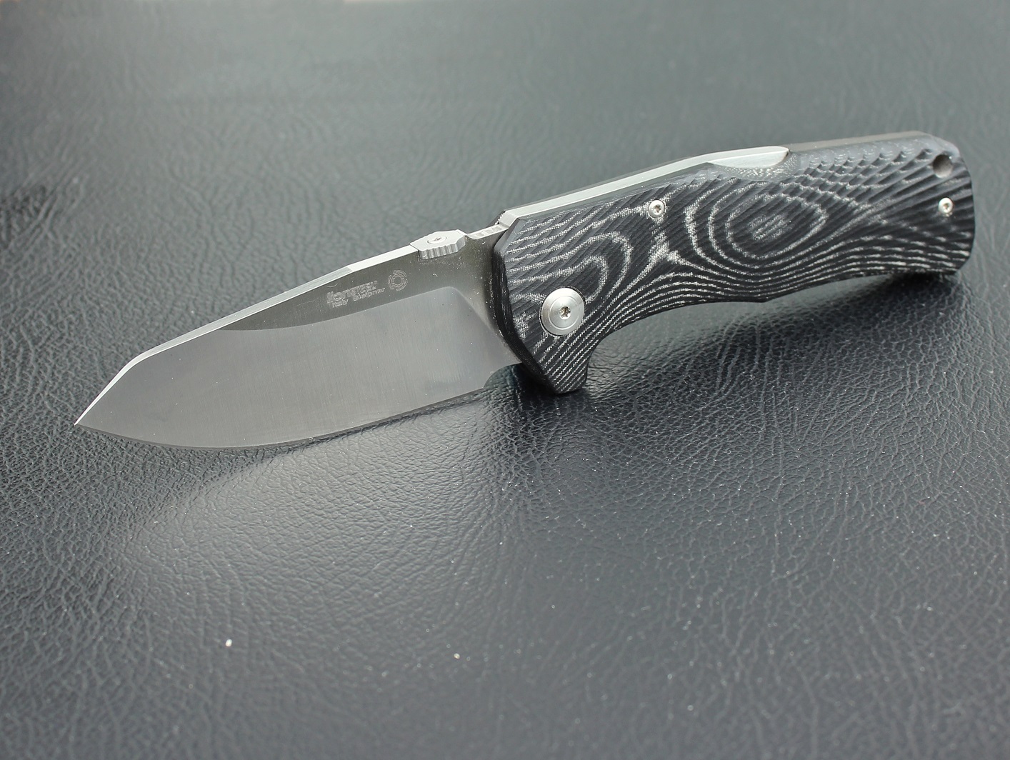 Knivigt värre Knife Review Lionsteel TM1