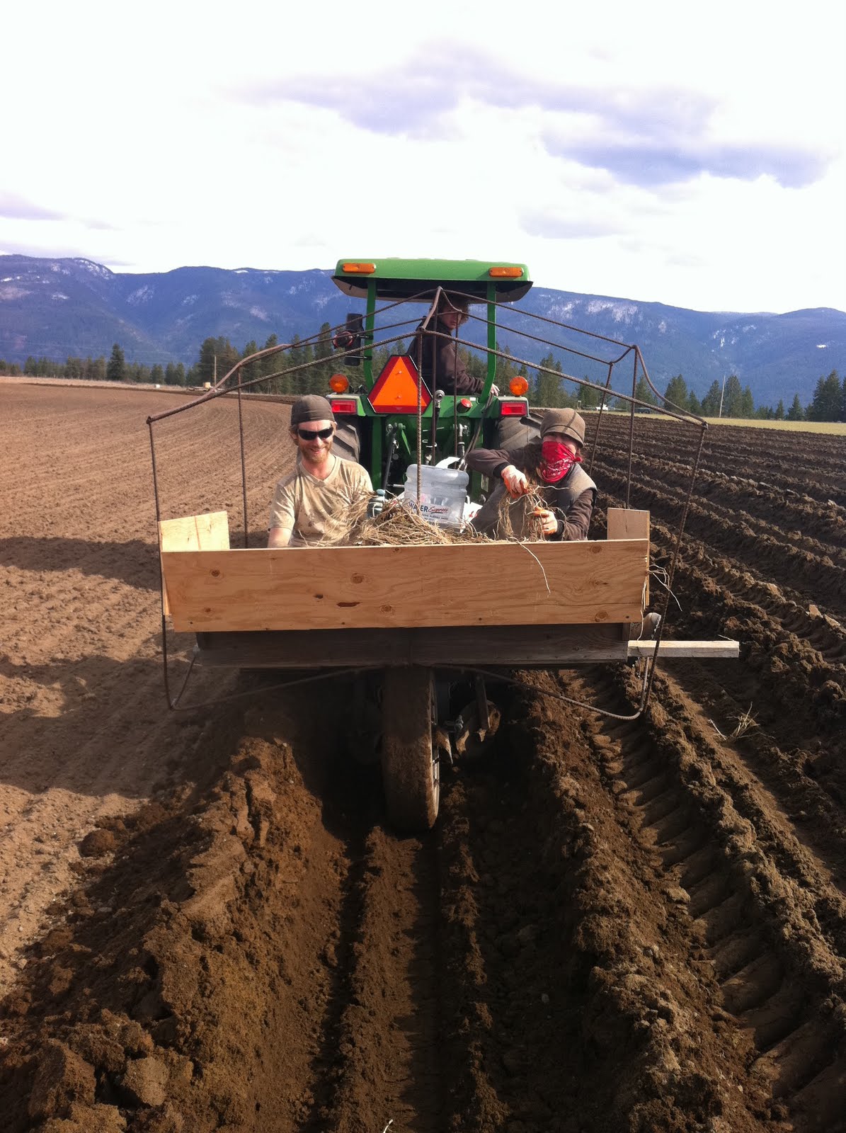 Okanagan Asparagus Farm Asparagus in Armstrong a new Spring