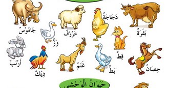 Jinak dalam bahasa arab haiwan Terjemahan Melayu