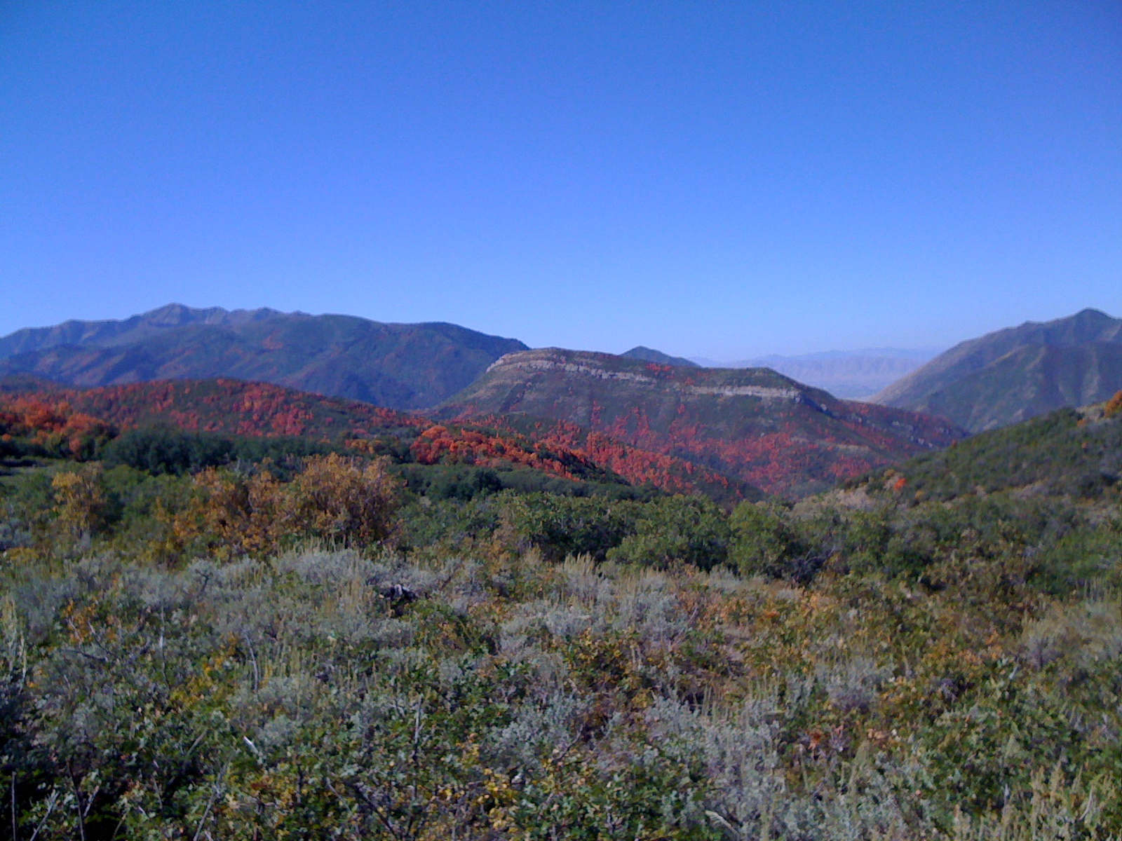 Blog Me Fit: Biking Hobble Creek Canyon