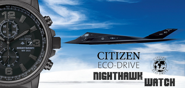 Citizen Nighthawk