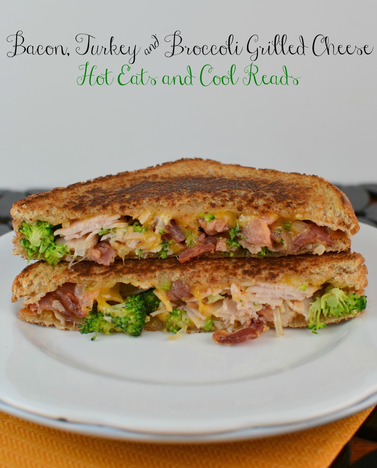 This recipe is perfect for any grilled cheese lover! Full of bacony, cheesy goodness! Turkey, Broccoli and Cheddar Grilled Cheese Sandwich from Hot Eats and Cool Reads!