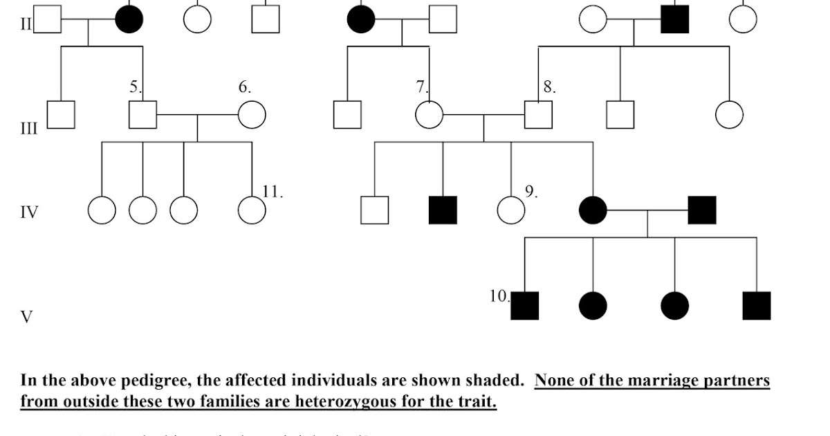 worksheet of pedigree