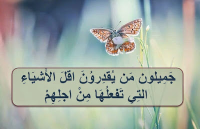 17894zeiad