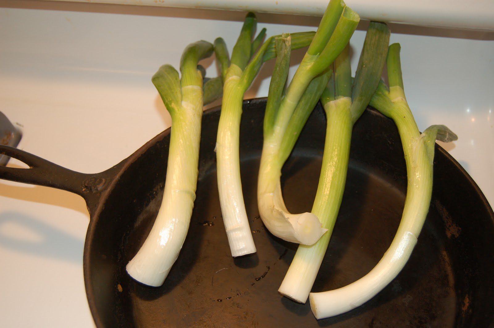 Midwestern Garden Evergreen Bunching OnionsDecember 20th Planting